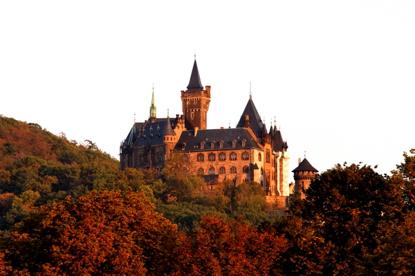 Heiraten auf Schloß Wernigerode mit Hochzeitsfotograf aus Magdeburg