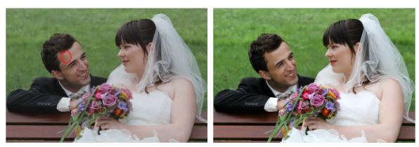 Hochzeitsfotos im Lennepark Magdeburg - Gesicht optimiert
