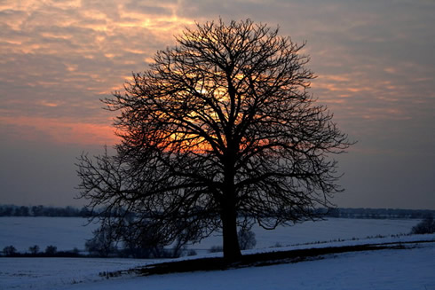 Sonnenuntergang